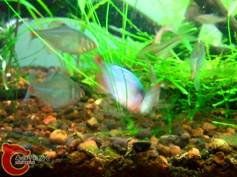 2012-10-25 23.28.53_副本.jpg