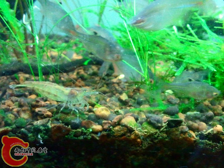 2012-10-25 23.29.21_副本.jpg