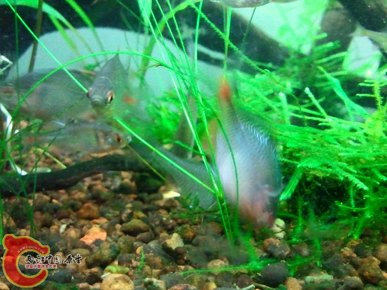 2012-10-25 23.29.45_副本.jpg