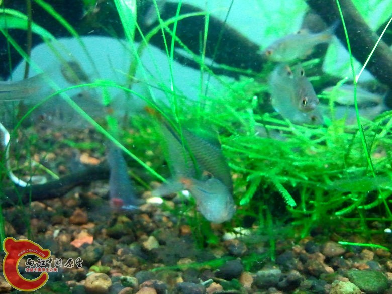 2012-10-25 23.30.11_副本.jpg