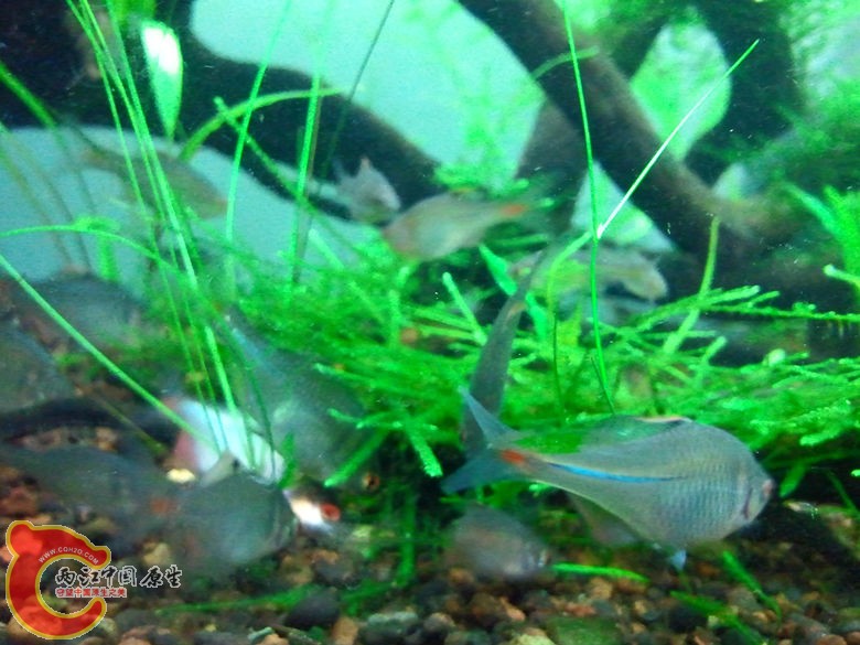 2012-10-25 23.31.00_副本.jpg