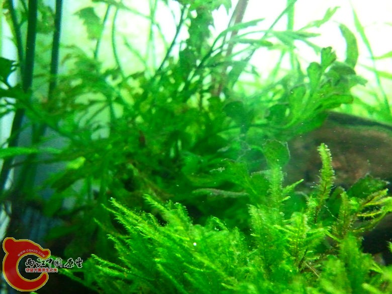 2012-10-25 23.30.41_副本.jpg