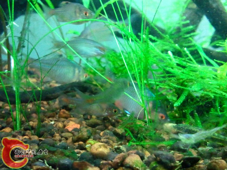 2012-10-25 23.31.20_副本.jpg