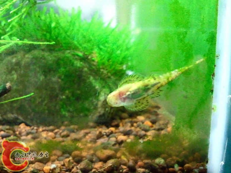 2012-10-25 23.31.28_副本.jpg