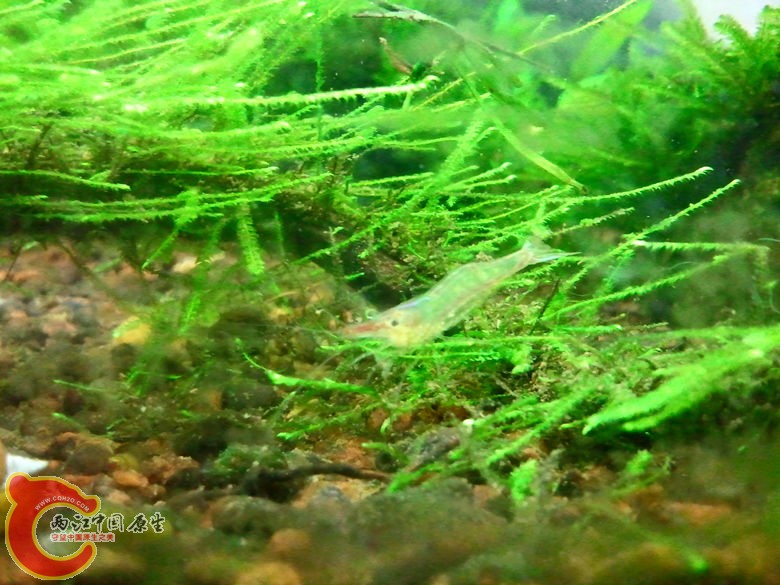 2012-10-25 23.31.37_副本.jpg