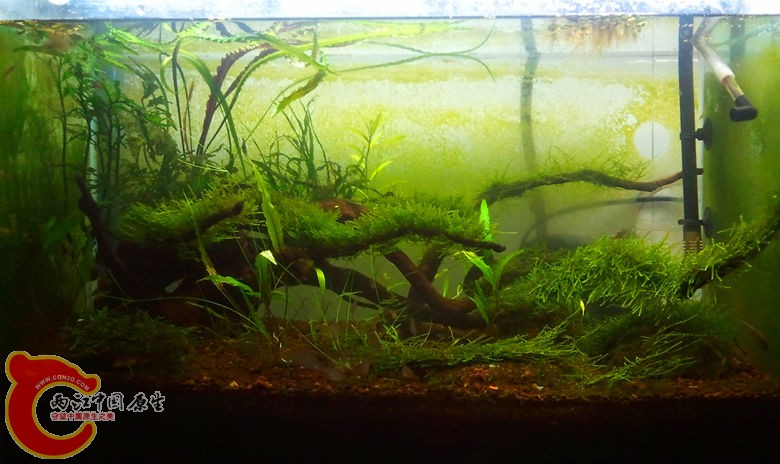 2012-10-25 23.32.32_副本.jpg