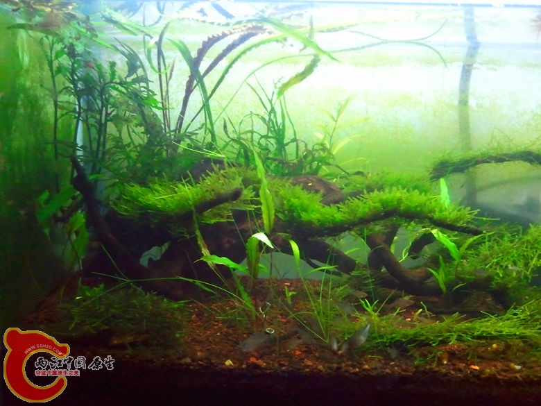 2012-10-25 23.32.41_副本.jpg