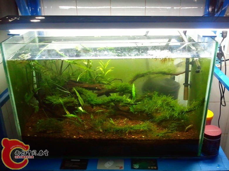 2012-10-25 23.32.48_副本.jpg