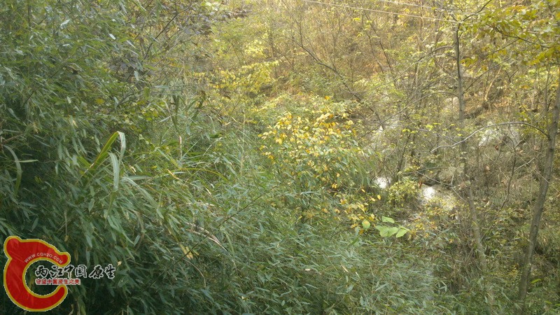 DSC_0330.jpg