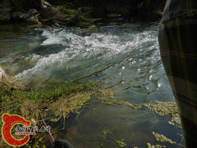 P1090920.JPG