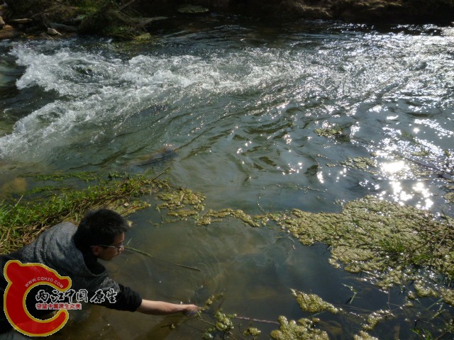 P1090923.JPG