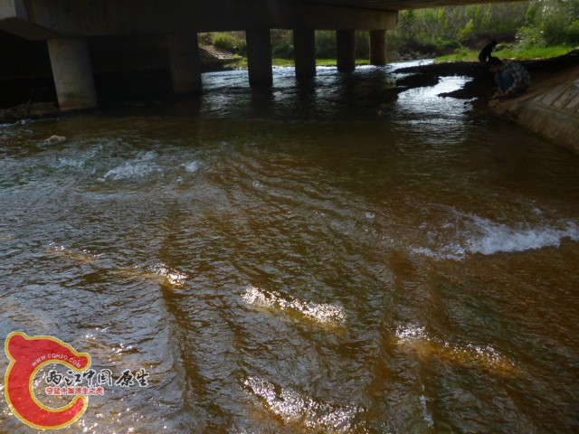 P1090930.JPG