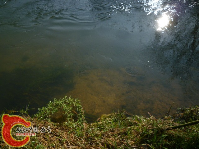 P1090941.JPG