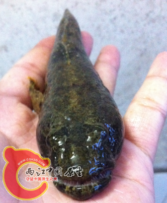 QQ截图20121027123130.png