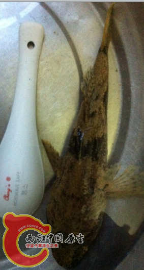 QQ截图20121027123159.png