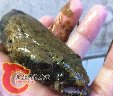 QQ截图20121027123208.png
