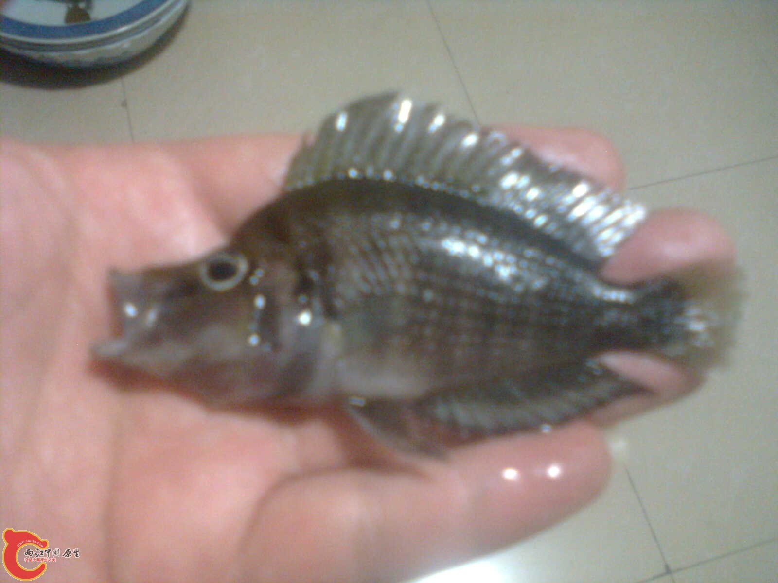 照片 039.jpg