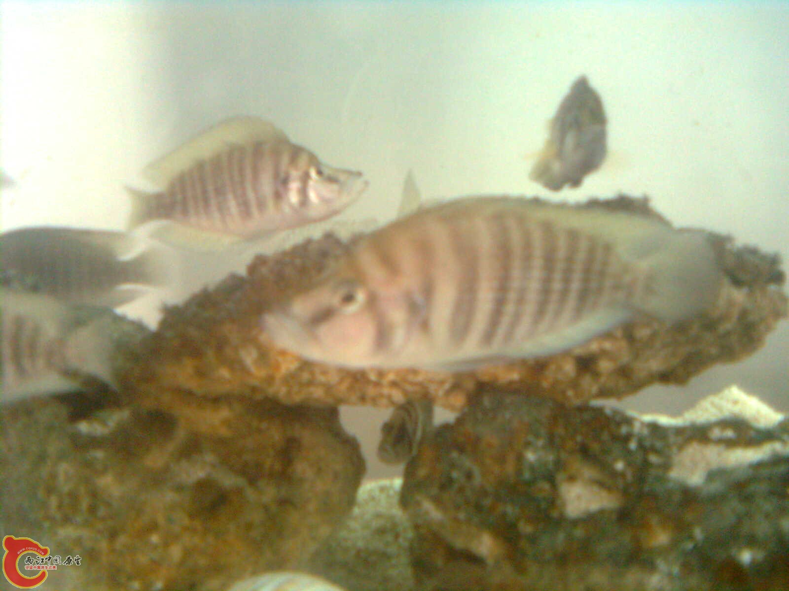 照片 026.jpg