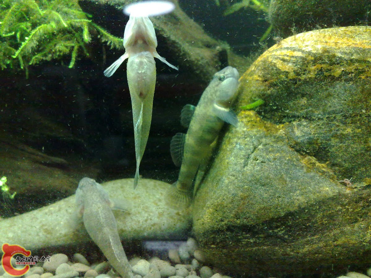201210307027-.jpg