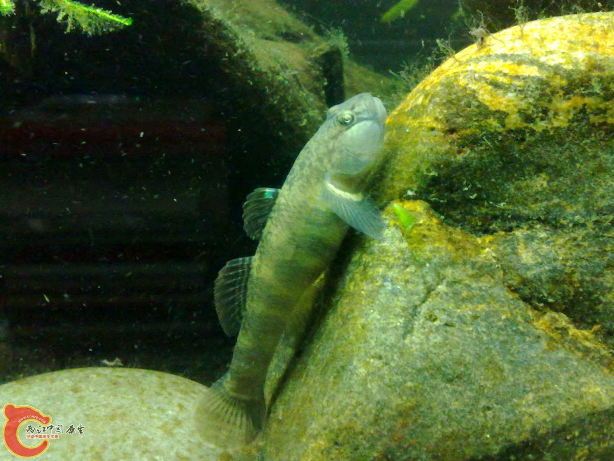 201210307028-.jpg