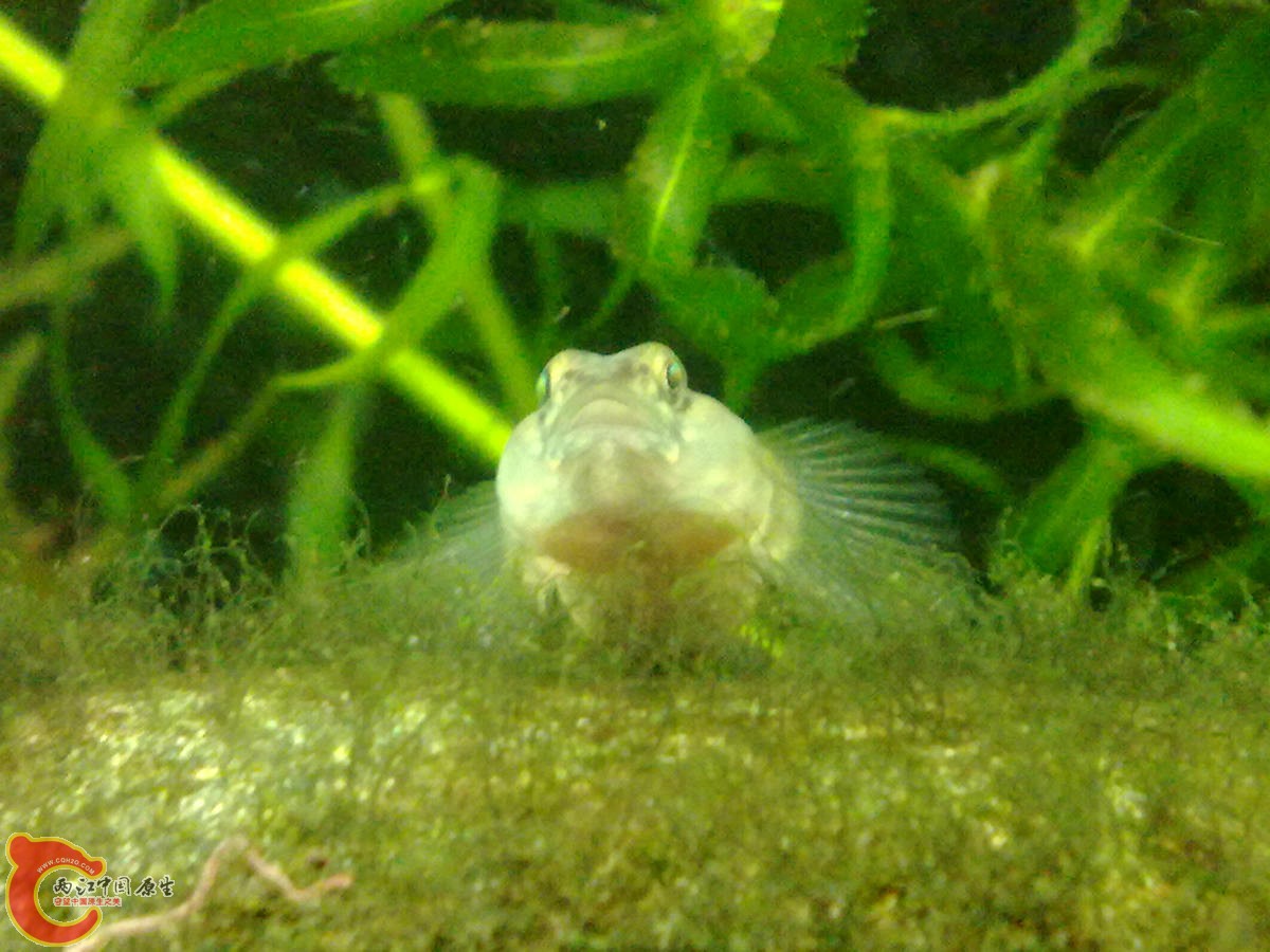 201210307031-.jpg