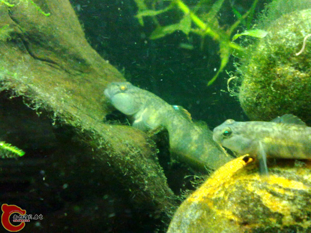 201210307032-.jpg