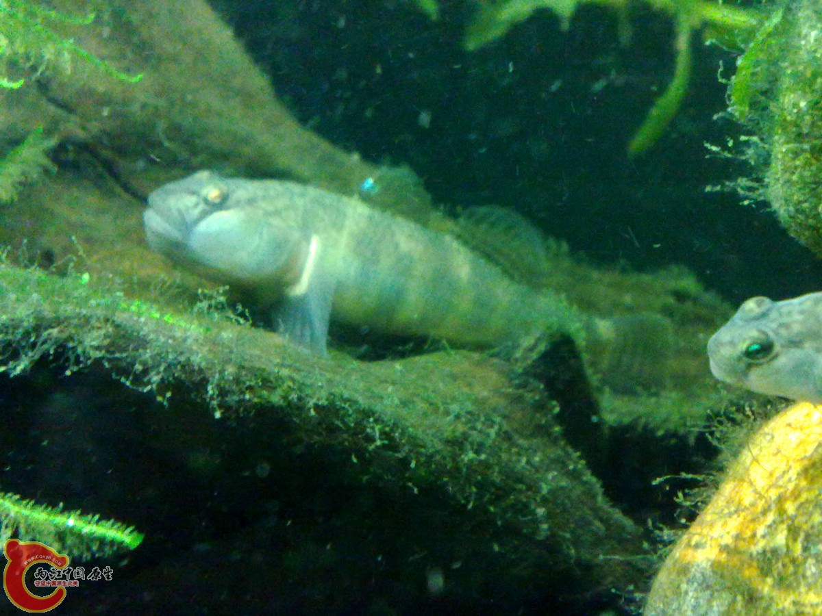 201210307034-.jpg
