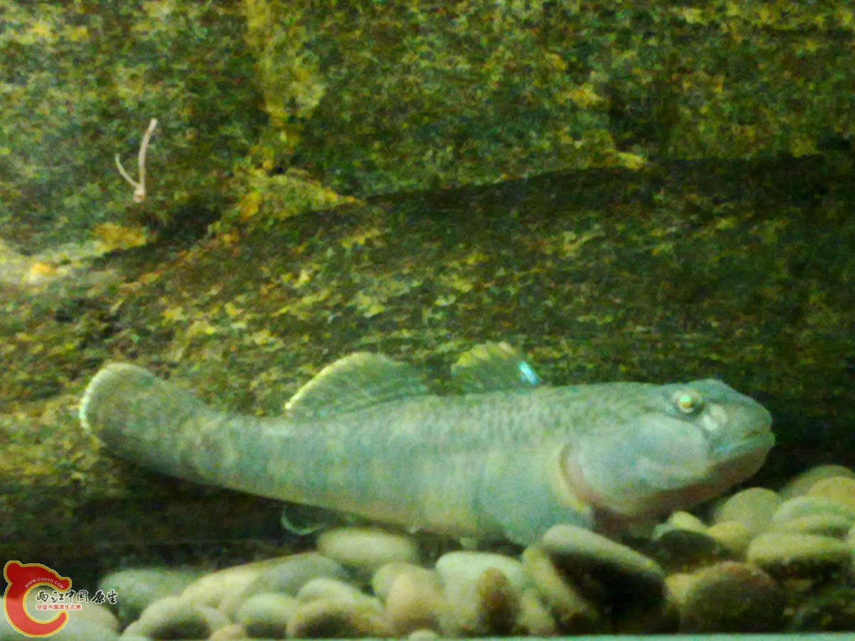 201210307058-.jpg