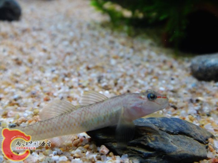 nEO_IMG_DSC02133.jpg
