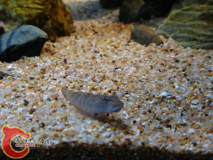 nEO_IMG_DSC02142.jpg