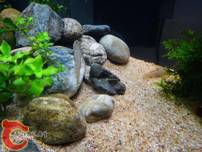 nEO_IMG_DSC02153.jpg