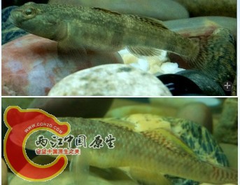 未命名1.jpg