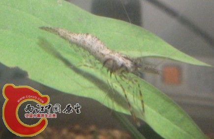 未命名2.jpg