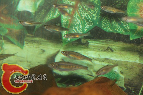 照片22 033_副本.jpg