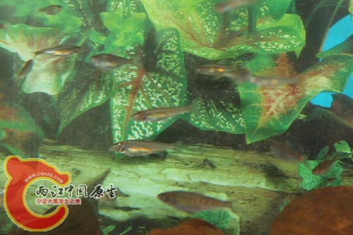 照片22 029_副本.jpg