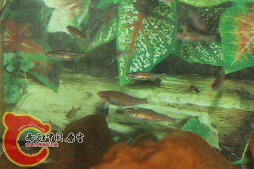 照片22 027_副本.jpg