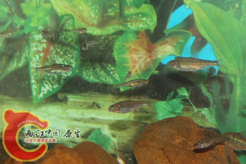 照片22 025_副本.jpg