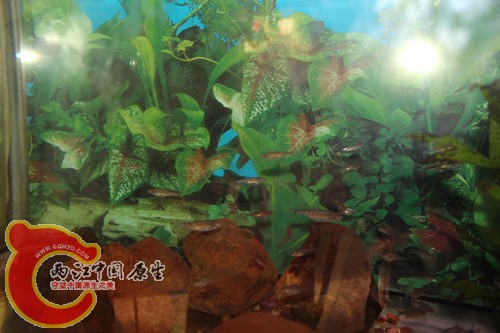 照片22 018_副本.jpg