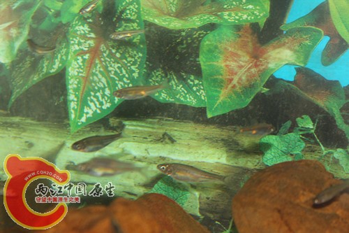 照片22 014_副本.jpg