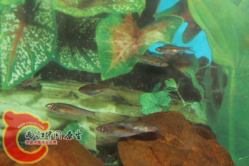 照片22 013_副本.jpg