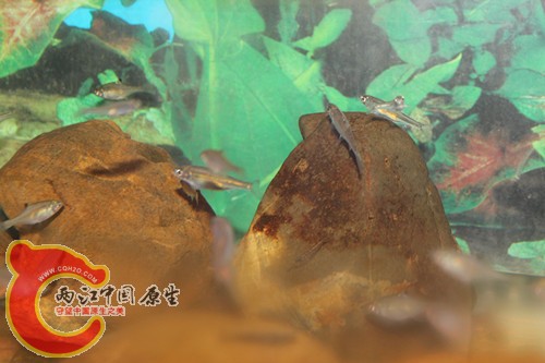 照片22 012_副本.jpg