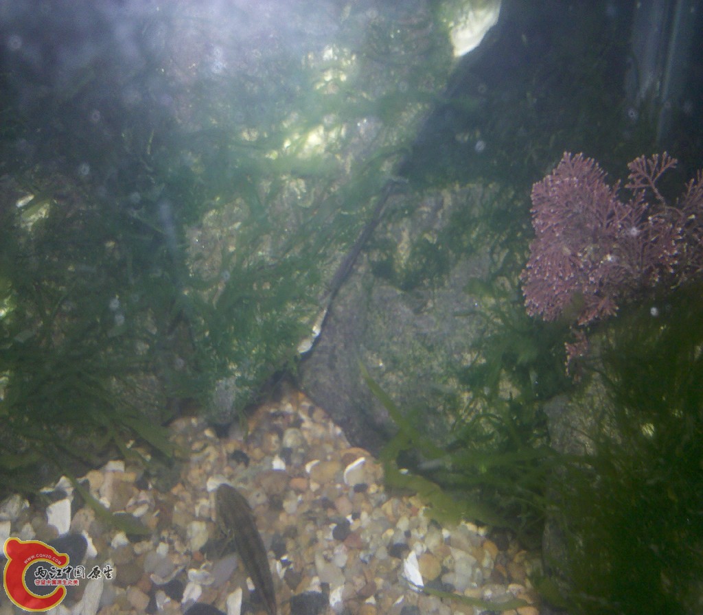 2012-11-03_22-11-57_120.jpg