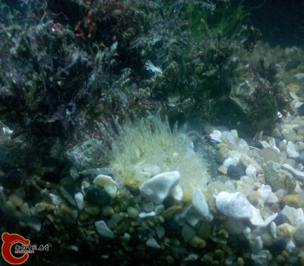2012-11-03_22-10-18_252.jpg