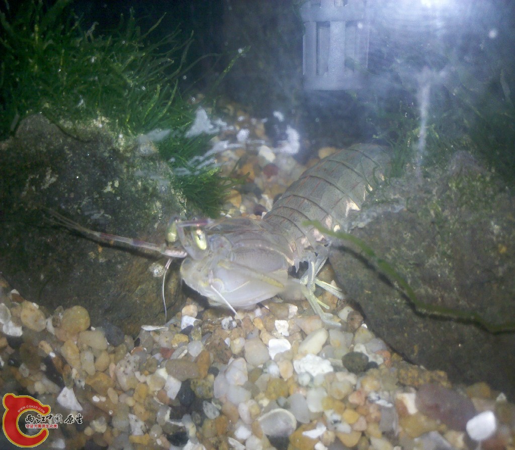 2012-11-03_22-12-08_862.jpg
