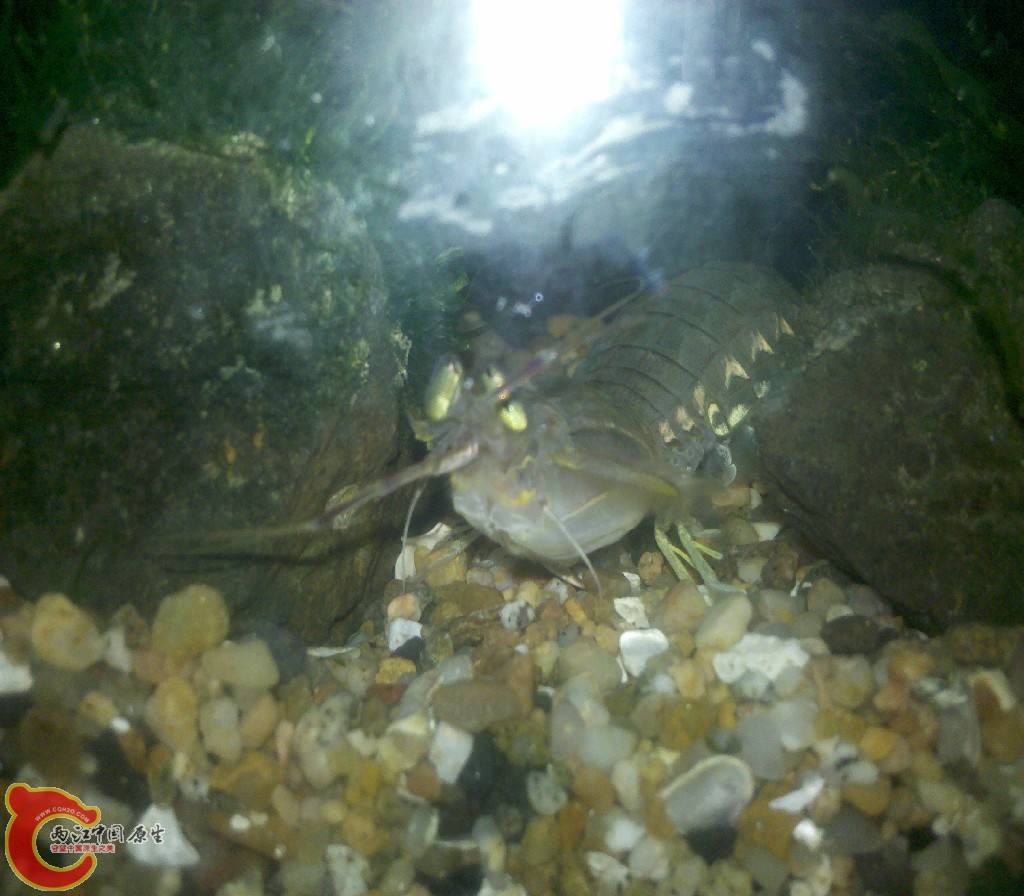 2012-11-03_22-12-24_171.jpg