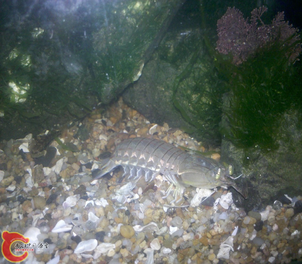 2012-11-03_22-13-23_259.jpg