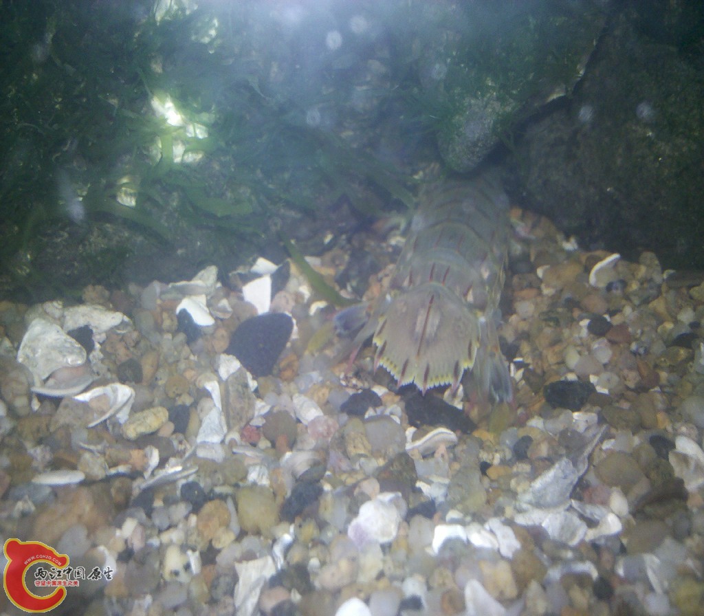 2012-11-03_22-14-24_252.jpg