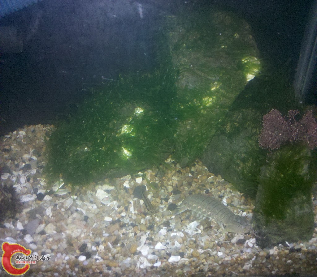 2012-11-03_22-13-43_964.jpg
