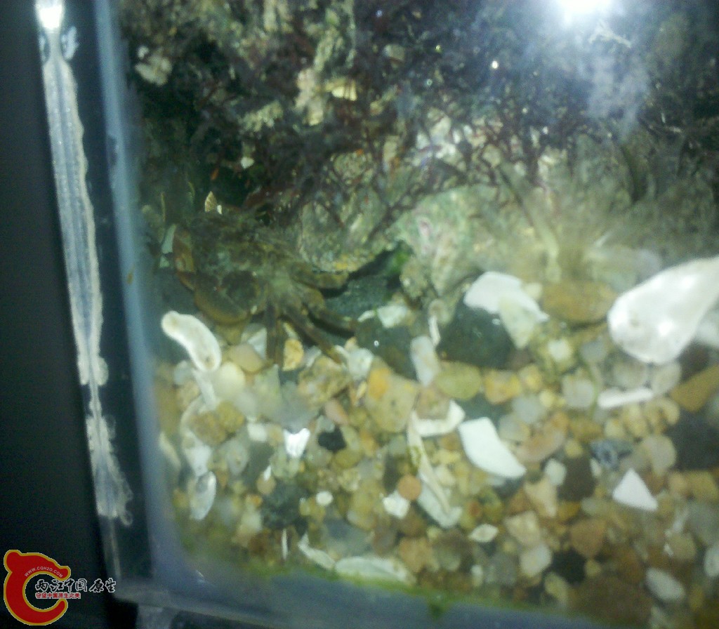 2012-11-03_22-14-37_743.jpg