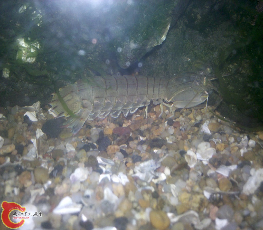 2012-11-03_22-15-06_735.jpg